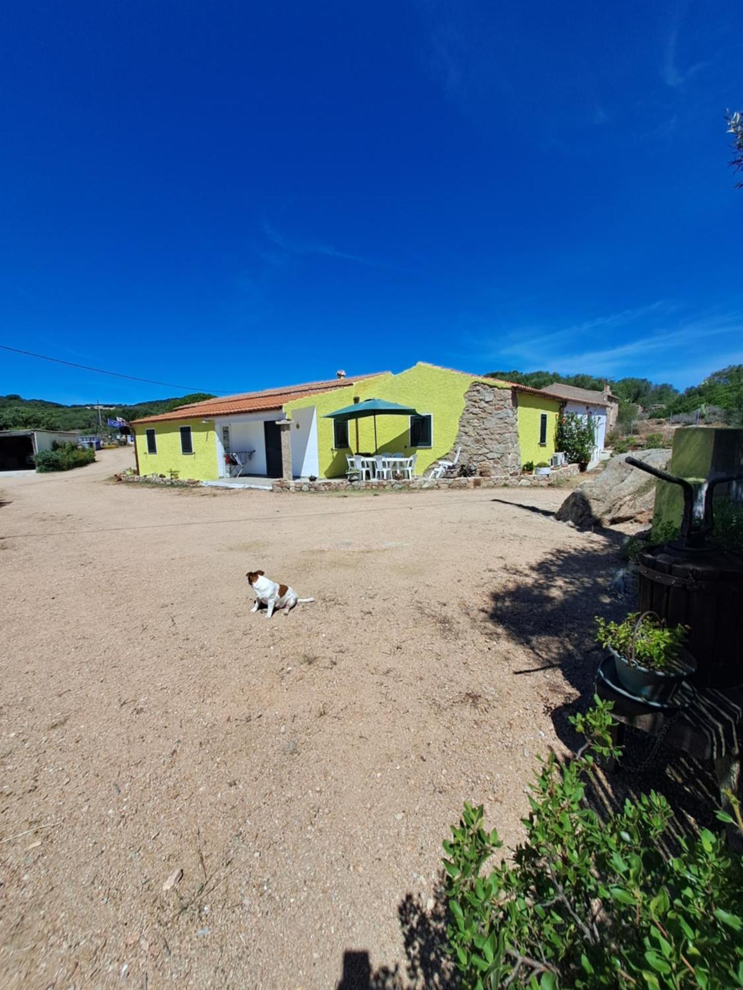 B&B Li Salcuneddi Aglientu Exterior photo